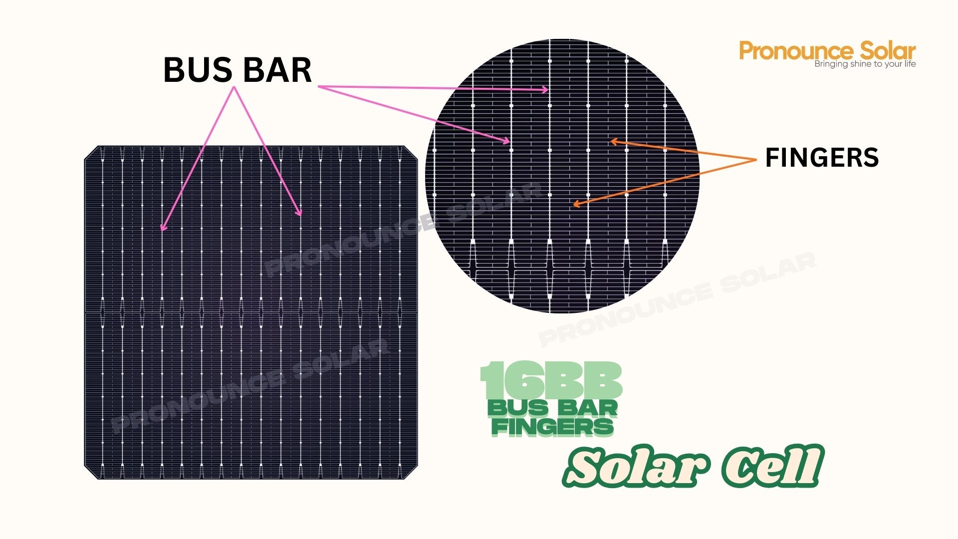 Busbars and Fingers in Solar Cells The Silent Architects of Solar ...